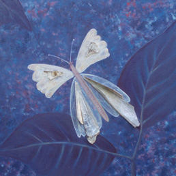 Stien Strampel