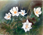 Bloemen