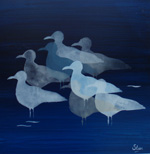 Untitled1