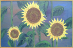 Zonnebloem